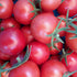Salsa Garden Seed Packet Gift Set